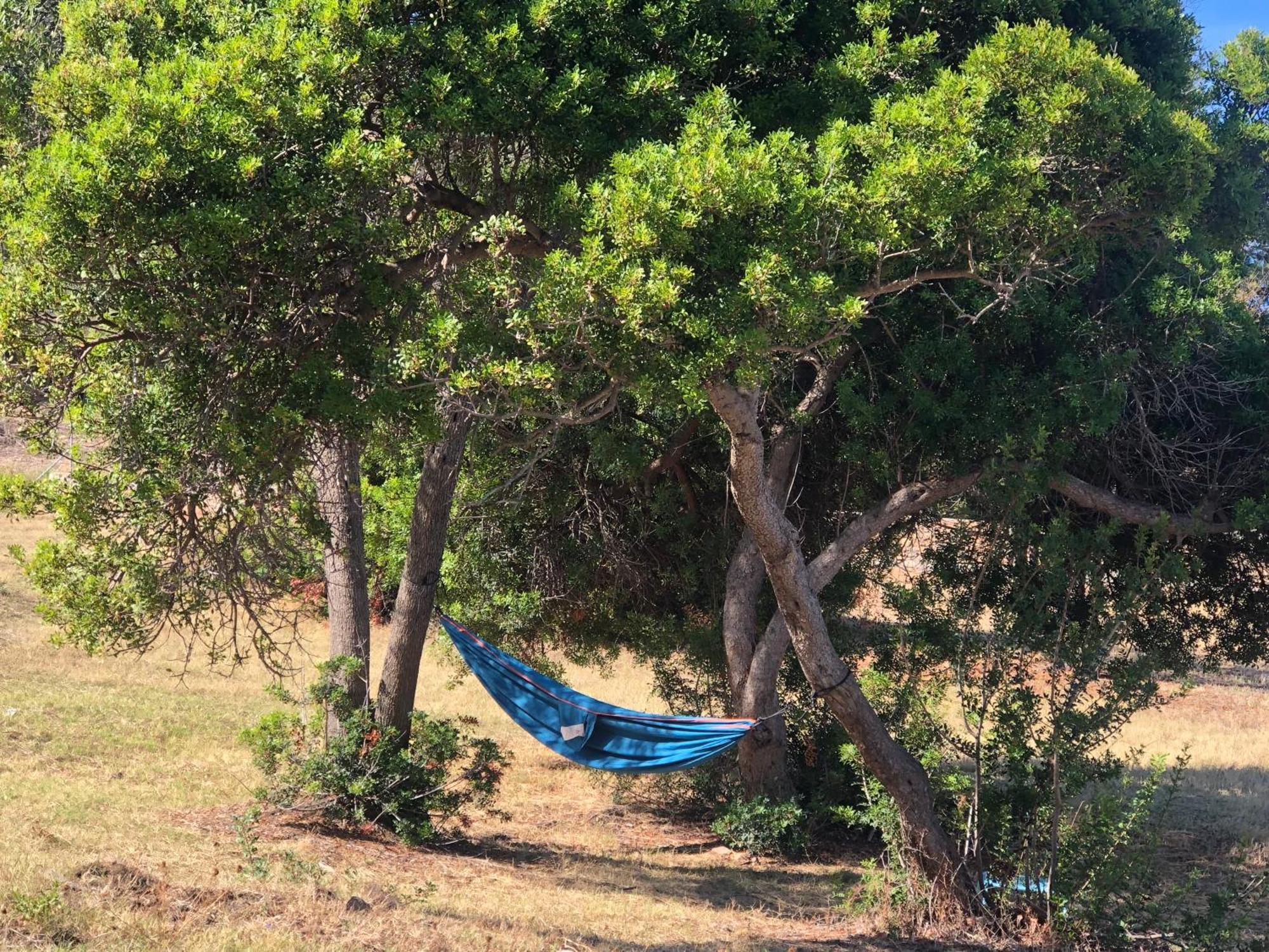 קלקטוג'יו Residence Punta Paliagi מראה חיצוני תמונה